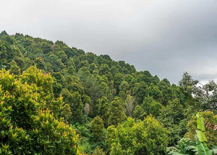 Waterfall Sanctuary 2br Forest موندوغْ