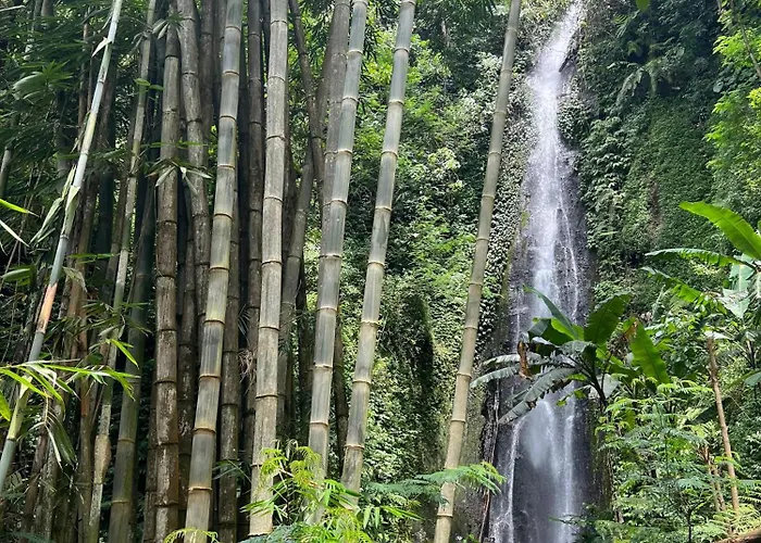 Waterfall Sanctuary 2br Forest موندوغْ