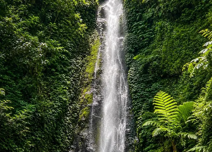 Waterfall Sanctuary 2br Forest موندوغْ